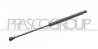 MOLLA A GAS DESTRA/SINISTRA PORTELLONE POSTERIORE - 350 N - L 436 mm - C 180 mm - ? 18 mm - ? 8 mm