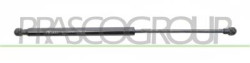 MOLLA A GAS DESTRA/SINISTRA PORTELLONE POSTERIORE - 350 N - L 436 mm - C 180 mm - ? 18 mm - ? 8 mm