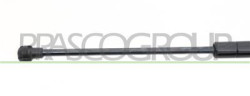 MOLLA A GAS DESTRA/SINISTRA PORTELLONE POSTERIORE - 350 N - L 436 mm - C 180 mm - ? 18 mm - ? 8 mm