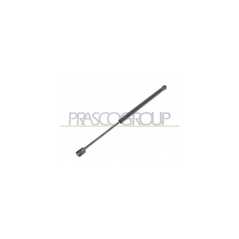 MOLLA A GAS DESTRA/SINISTRA PORTELLONE POSTERIORE - 460 N - L 440 mm - C 160 mm - ? 18 mm - ? 8 mm MOD. 3 PORTE