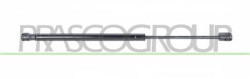 MOLLA A GAS DESTRA/SINISTRA PORTELLONE POSTERIORE - 460 N - L 440 mm - C 160 mm - ? 18 mm - ? 8 mm MOD. 3 PORTE