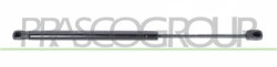 MOLLA A GAS DESTRA/SINISTRA PORTELLONE POSTERIORE - 460 N - L 440 mm - C 160 mm - ? 18 mm - ? 8 mm MOD. 3 PORTE