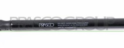 MOLLA A GAS DESTRA/SINISTRA PORTELLONE POSTERIORE - 460 N - L 440 mm - C 160 mm - ? 18 mm - ? 8 mm MOD. 3 PORTE