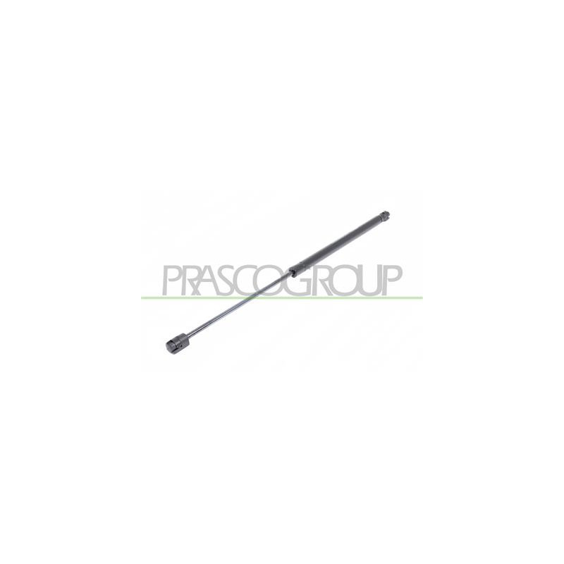 MOLLA A GAS DESTRA/SINISTRA PORTELLONE POSTERIORE - 380 N - L 507 mm - C 216 mm - ? 18 mm - ? 8 mm MOD. 5 PORTE