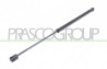 MOLLA A GAS DESTRA/SINISTRA PORTELLONE POSTERIORE - 380 N - L 507 mm - C 216 mm - ? 18 mm - ? 8 mm MOD. 5 PORTE
