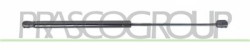 MOLLA A GAS DESTRA/SINISTRA PORTELLONE POSTERIORE - 380 N - L 507 mm - C 216 mm - ? 18 mm - ? 8 mm MOD. 5 PORTE