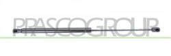 MOLLA A GAS DESTRA/SINISTRA PORTELLONE POSTERIORE - 380 N - L 507 mm - C 216 mm - ? 18 mm - ? 8 mm MOD. 5 PORTE