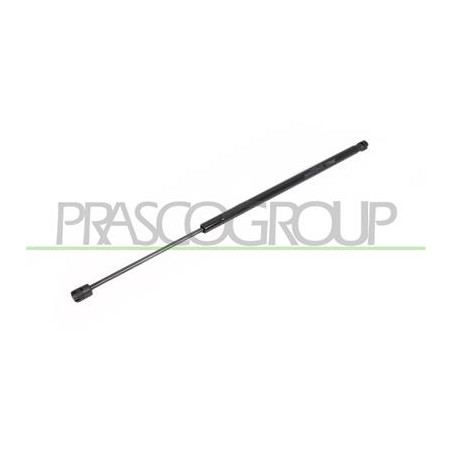 MOLLA A GAS DESTRA/SINISTRA PORTELLONE POSTERIORE - 810 N - L 603 mm - C 200 mm - ? 18 mm - ? 8 mm MOD.  08/2005 STILO - Mod. 10