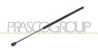 MOLLA A GAS DESTRA/SINISTRA PORTELLONE POSTERIORE - 810 N - L 603 mm - C 200 mm - ? 18 mm - ? 8 mm MOD.  08/2005 STILO - Mod. 10