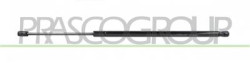 MOLLA A GAS DESTRA/SINISTRA PORTELLONE POSTERIORE - 810 N - L 603 mm - C 200 mm - ? 18 mm - ? 8 mm MOD.  08/2005 STILO - Mod. 10