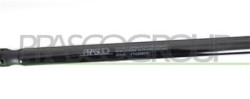 MOLLA A GAS DESTRA/SINISTRA PORTELLONE POSTERIORE - 810 N - L 603 mm - C 200 mm - ? 18 mm - ? 8 mm MOD.  08/2005 STILO - Mod. 10