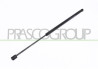 MOLLA A GAS DESTRA/SINISTRA PORTELLONE POSTERIORE - 740 N - L 603 mm - C 220 mm - ? 18 mm - ? 8 mm MOD. STATION WAGON STILO - Mo