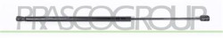 MOLLA A GAS DESTRA/SINISTRA PORTELLONE POSTERIORE - 740 N - L 603 mm - C 220 mm - ? 18 mm - ? 8 mm MOD. STATION WAGON STILO - Mo