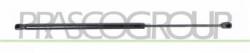 MOLLA A GAS DESTRA/SINISTRA PORTELLONE POSTERIORE - 740 N - L 603 mm - C 220 mm - ? 18 mm - ? 8 mm MOD. STATION WAGON STILO - Mo