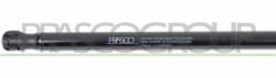 MOLLA A GAS DESTRA/SINISTRA PORTELLONE POSTERIORE - 740 N - L 603 mm - C 220 mm - ? 18 mm - ? 8 mm MOD. STATION WAGON STILO - Mo