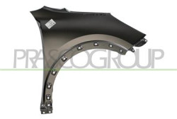 PARAFANGO ANTERIORE SINISTRO NIRO - Mod. 01/16 - 09/19
