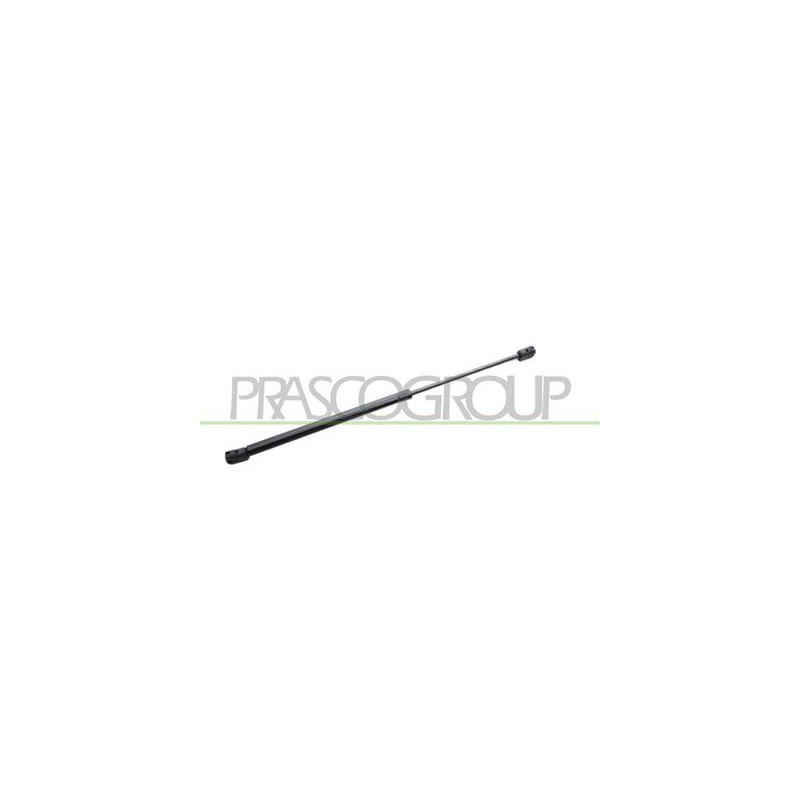 MOLLA A GAS DESTRA/SINISTRA PORTELLONE POSTERIORE - 420 N - L 479 mm - C 190 mm - ? 18 mm - ? 8 mm YPSILON - Mod. 09/03 - 09/06
