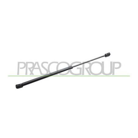 MOLLA A GAS DESTRA/SINISTRA PORTELLONE POSTERIORE - 420 N - L 479 mm - C 190 mm - ? 18 mm - ? 8 mm YPSILON - Mod. 09/03 - 09/06