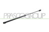 MOLLA A GAS DESTRA/SINISTRA PORTELLONE POSTERIORE - 420 N - L 479 mm - C 190 mm - ? 18 mm - ? 8 mm YPSILON - Mod. 09/03 - 09/06