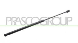 MOLLA A GAS DESTRA/SINISTRA PORTELLONE POSTERIORE - 280 N - L 562 mm - C 224 mm - ? 18 mm - ? 8 mm YPSILON - Mod. 09/15 - 01/24