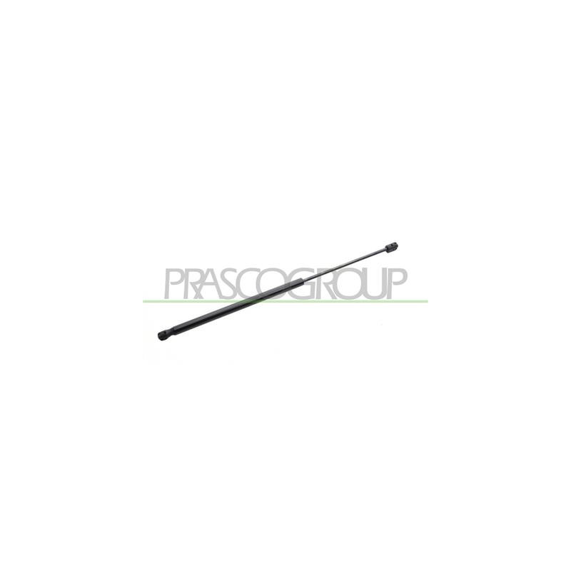MOLLA A GAS DESTRA/SINISTRA PORTELLONE POSTERIORE - 280 N - L 562 mm - C 224 mm - ? 18 mm - ? 8 mm
