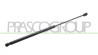 MOLLA A GAS DESTRA/SINISTRA PORTELLONE POSTERIORE - 280 N - L 562 mm - C 224 mm - ? 18 mm - ? 8 mm
