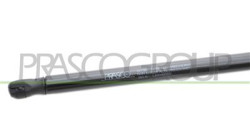 MOLLA A GAS DESTRA/SINISTRA PORTELLONE POSTERIORE - 280 N - L 562 mm - C 224 mm - ? 18 mm - ? 8 mm