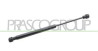 MOLLA A GAS DESTRA/SINISTRA PORTELLONE POSTERIORE - 130 N - L 305 mm - C 115 mm - ? 15 mm - ? 6 mm CITY COUPE' - Mod. 08/98 - 04
