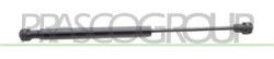 MOLLA A GAS DESTRA/SINISTRA PORTELLONE POSTERIORE - 130 N - L 305 mm - C 115 mm - ? 15 mm - ? 6 mm CITY COUPE' - Mod. 08/98 - 04