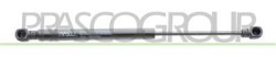 MOLLA A GAS DESTRA/SINISTRA PORTELLONE POSTERIORE - 130 N - L 305 mm - C 115 mm - ? 15 mm - ? 6 mm CITY COUPE' - Mod. 08/98 - 04