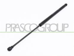 MOLLA A GAS DESTRA PORTELLONE POSTERIORE - 420 N - L 507 mm - C 206 mm - ? 18 mm - ? 8 mm AGILA - Mod. 01/08 - 05/15