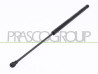 MOLLA A GAS DESTRA PORTELLONE POSTERIORE - 420 N - L 507 mm - C 206 mm - ? 18 mm - ? 8 mm AGILA - Mod. 01/08 - 05/15
