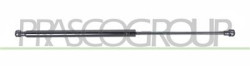 MOLLA A GAS DESTRA PORTELLONE POSTERIORE - 420 N - L 507 mm - C 206 mm - ? 18 mm - ? 8 mm AGILA - Mod. 01/08 - 05/15