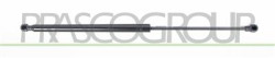 MOLLA A GAS DESTRA PORTELLONE POSTERIORE - 420 N - L 507 mm - C 206 mm - ? 18 mm - ? 8 mm AGILA - Mod. 01/08 - 05/15