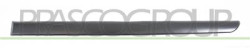 MODANATURA PORTA POSTERIORE SINISTRA-NERA GOFFRATA MOD. 5 PORTE 407 - Mod. 01/04 - 12/07