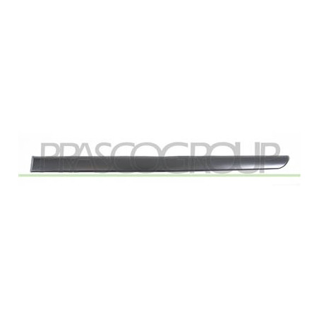 MODANATURA PORTA POSTERIORE SINISTRA-NERA GOFFRATA MOD. 5 PORTE 407 - Mod. 01/04 - 12/07