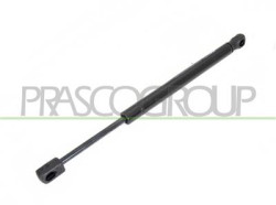 MOLLA A GAS DESTRA/SINISTRA PORTELLONE POSTERIORE - 500 N - L 320 mm - C 90 mm - ? 18 mm - ? 8 mm MOD. 4 PORTE 407 - Mod. 01/04 