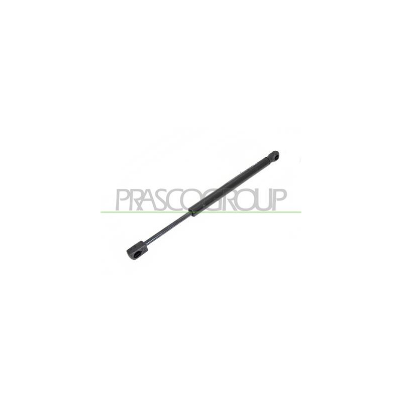 MOLLA A GAS DESTRA/SINISTRA PORTELLONE POSTERIORE - 500 N - L 320 mm - C 90 mm - ? 18 mm - ? 8 mm MOD. 4 PORTE 407 - Mod. 01/04 