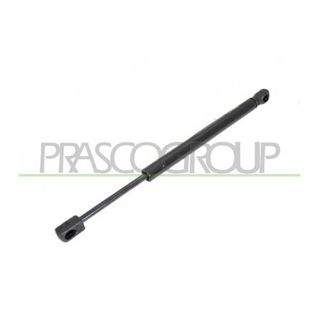 MOLLA A GAS DESTRA/SINISTRA PORTELLONE POSTERIORE - 500 N - L 320 mm - C 90 mm - ? 18 mm - ? 8 mm MOD. 4 PORTE 407 - Mod. 01/04