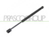 MOLLA A GAS DESTRA/SINISTRA PORTELLONE POSTERIORE - 500 N - L 320 mm - C 90 mm - ? 18 mm - ? 8 mm MOD. 4 PORTE 407 - Mod. 01/04