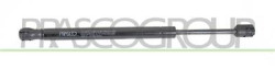 MOLLA A GAS DESTRA/SINISTRA PORTELLONE POSTERIORE - 500 N - L 320 mm - C 90 mm - ? 18 mm - ? 8 mm MOD. 4 PORTE 407 - Mod. 01/04 