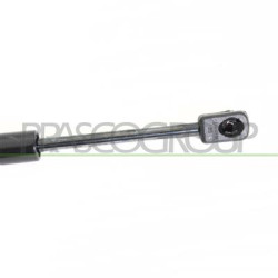 MOLLA A GAS DESTRA/SINISTRA PORTELLONE POSTERIORE - 500 N - L 320 mm - C 90 mm - ? 18 mm - ? 8 mm MOD. 4 PORTE 407 - Mod. 01/04 