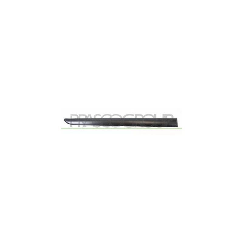 MODANATURA PORTA POSTERIORE DESTRA-NERA LISCIA MOD. 5 PORTE 207 - Mod. 04/06 - 05/09