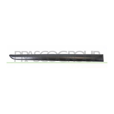 MODANATURA PORTA POSTERIORE DESTRA-NERA LISCIA MOD. 5 PORTE 207 - Mod. 04/06 - 05/09