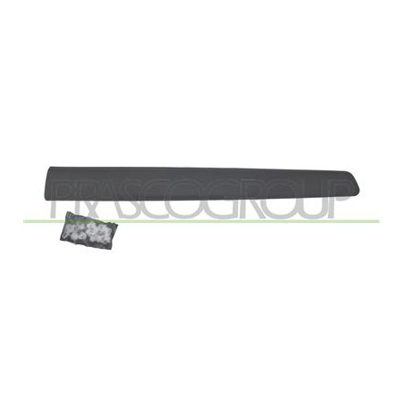MODANATURA PORTA ANTERIORE SINISTRA-CON CLIPS-NERA GOFFRATA PARTNER - Mod. 01/12 - 05/15