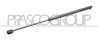 MOLLA A GAS DESTRA/SINISTRA PORTELLONE POSTERIORE - 390 N - L 474 mm - C 190 mm - ? 18 mm - ? 8 mm CLIO - Mod. 06/90 - 06/96