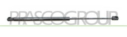 MOLLA A GAS DESTRA/SINISTRA PORTELLONE POSTERIORE - 390 N - L 474 mm - C 190 mm - ? 18 mm - ? 8 mm CLIO - Mod. 06/90 - 06/96