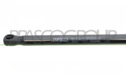 MOLLA A GAS DESTRA/SINISTRA PORTELLONE POSTERIORE - 390 N - L 474 mm - C 190 mm - ? 18 mm - ? 8 mm CLIO - Mod. 06/90 - 06/96