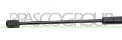 MOLLA A GAS DESTRA/SINISTRA PORTELLONE POSTERIORE - 390 N - L 474 mm - C 190 mm - ? 18 mm - ? 8 mm CLIO - Mod. 06/90 - 06/96