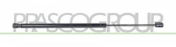 MOLLA A GAS DESTRA/SINISTRA PORTELLONE POSTERIORE - 625 N - L 519 mm - C 176 mm - ? 18 mm - ? 8 mm GRAND SCENIC - Mod. 01/06 - 1